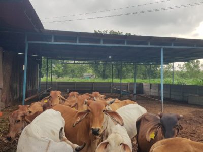 Karamsad Shakha Mandir
